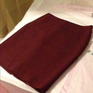Ann Taylor Skirt Size 8p